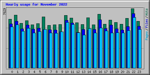 Hourly usage for November 2022