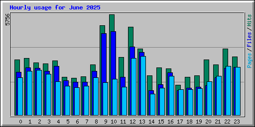 Hourly usage for June 2025