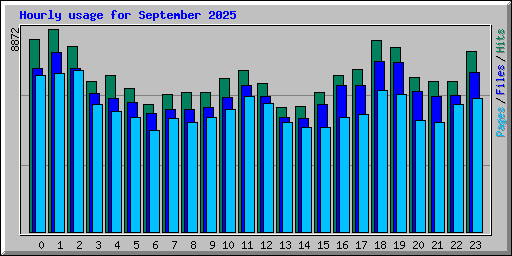 Hourly usage for September 2025