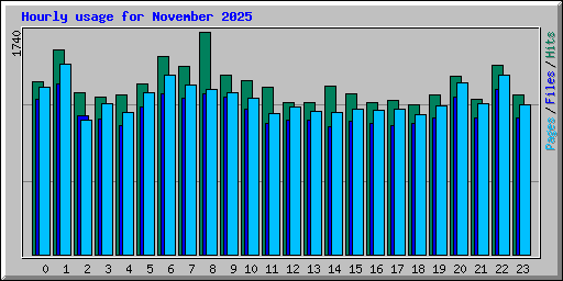 Hourly usage for November 2025