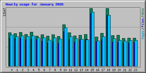 Hourly usage for January 2026