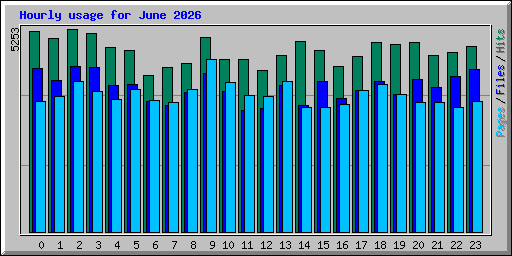 Hourly usage for June 2026