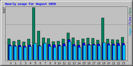 Hourly usage for August 2026